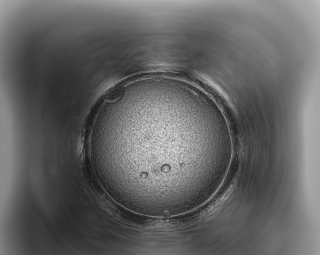 X0000095901259200801181239