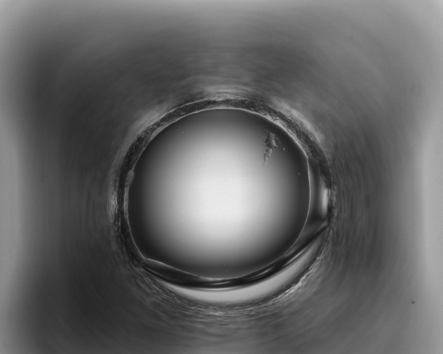 X0000095901261200801181239