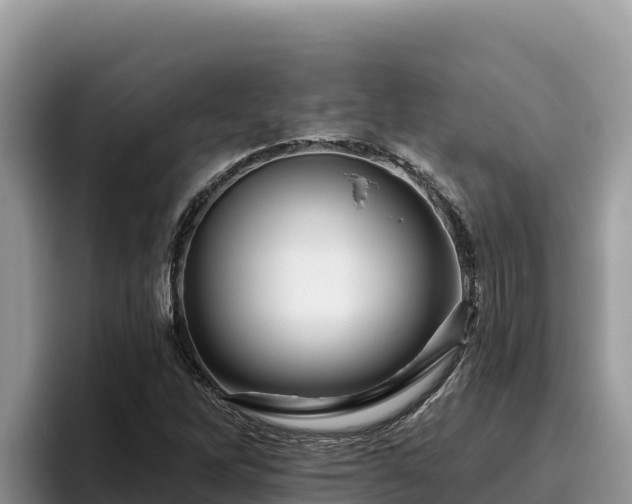 X0000095901262200801181239