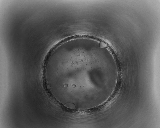 X0000095901263200801181239