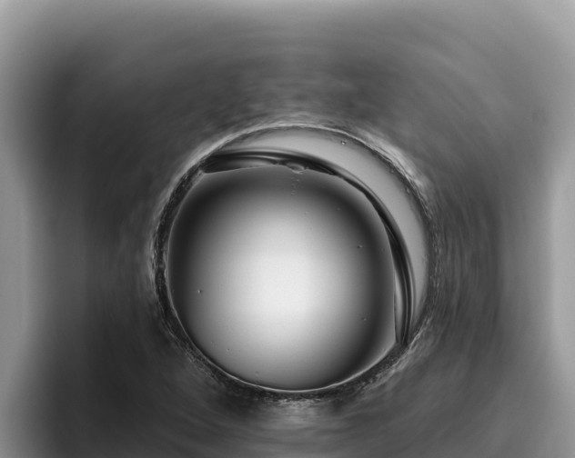 X0000095901264200801181239