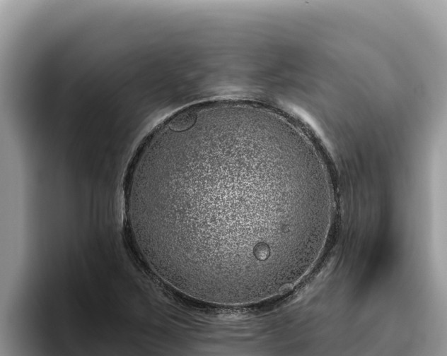 X0000095901267200801181238