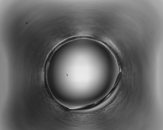 X0000095901268200801181238