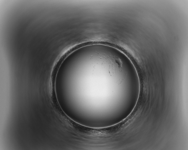 X0000095901270200801181238