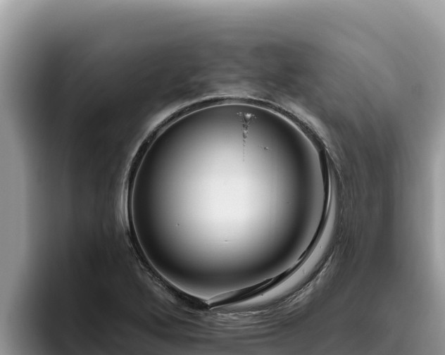 X0000095901272200801181238