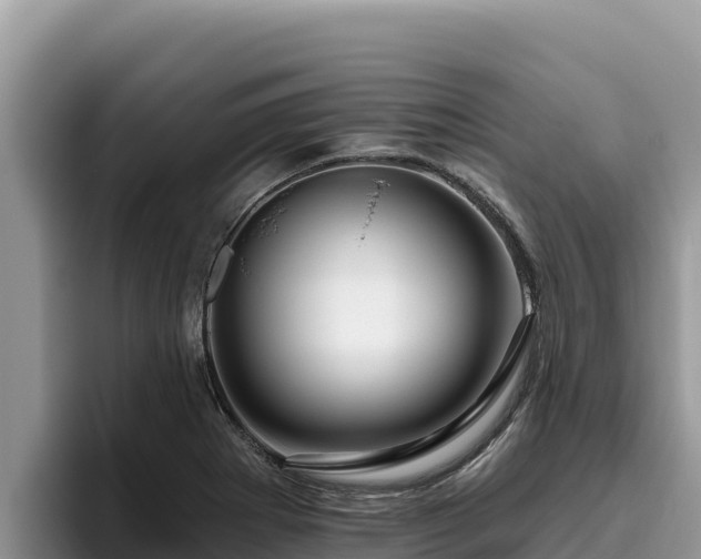 X0000095901273200801181238