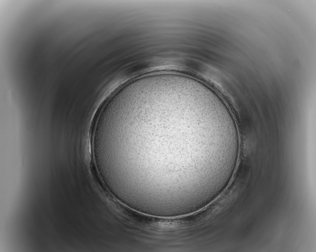 X0000095901274200801181238