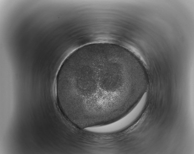 X0000095901275200801181238