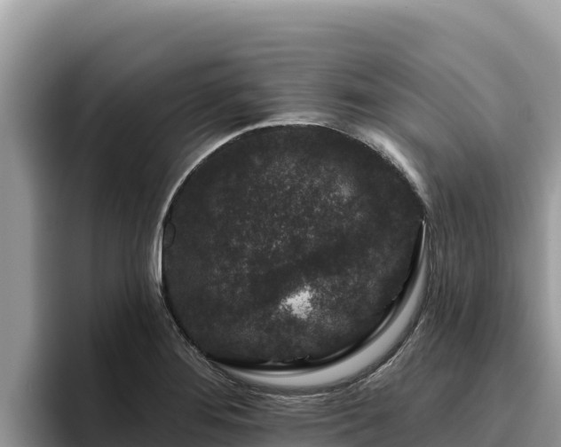 X0000095901276200801181238