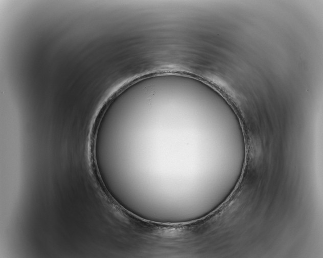 X0000095901278200801181238