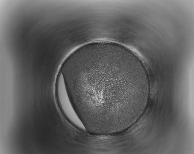 X0000095901279200801181238