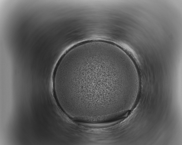 X0000095901280200801181238