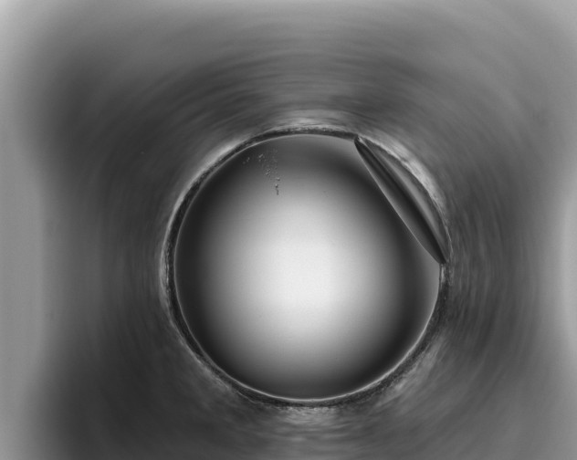 X0000095901285200801181238