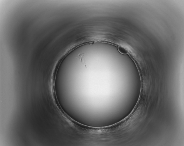 X0000095901286200801181238