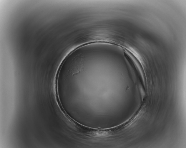 X0000095901291200801181238