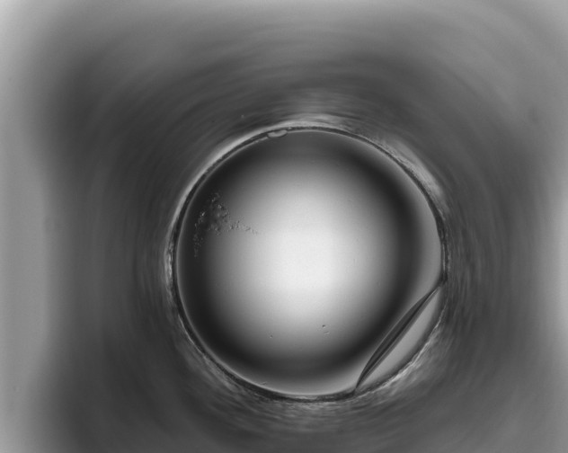 X0000095901292200801181238