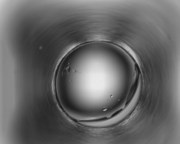 X0000095901293200801181238