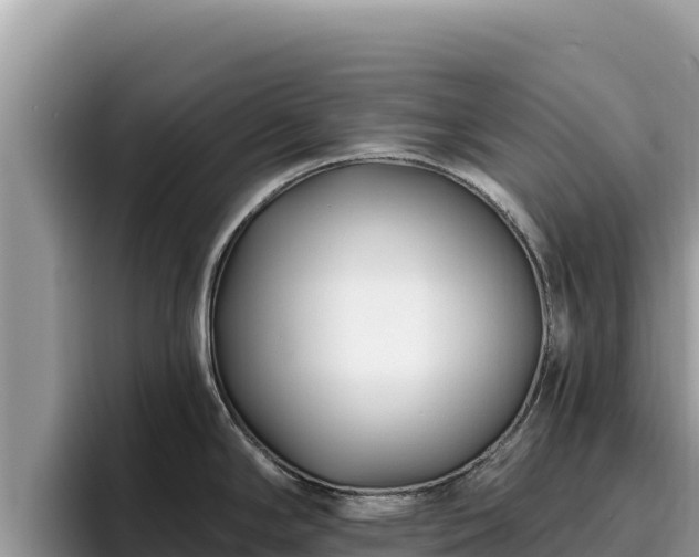 X0000095901294200801181238