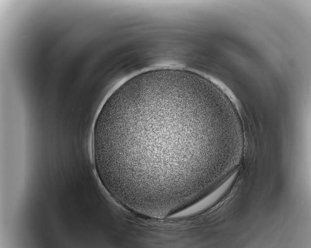 X0000095901295200801181238