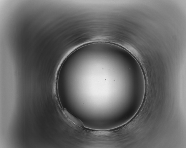 X0000095901296200801181238