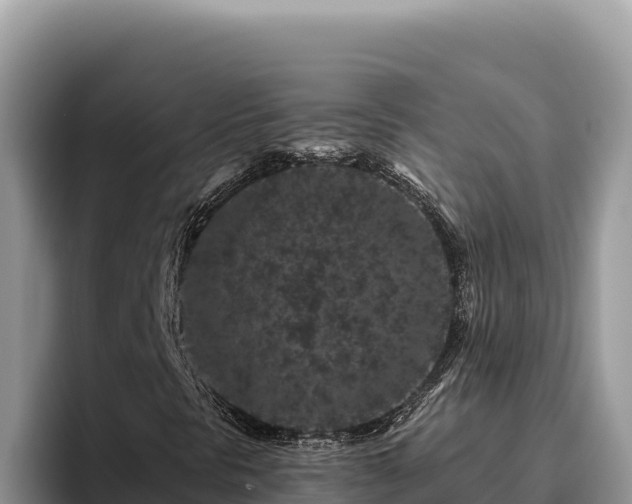 X0000095901297200801181237