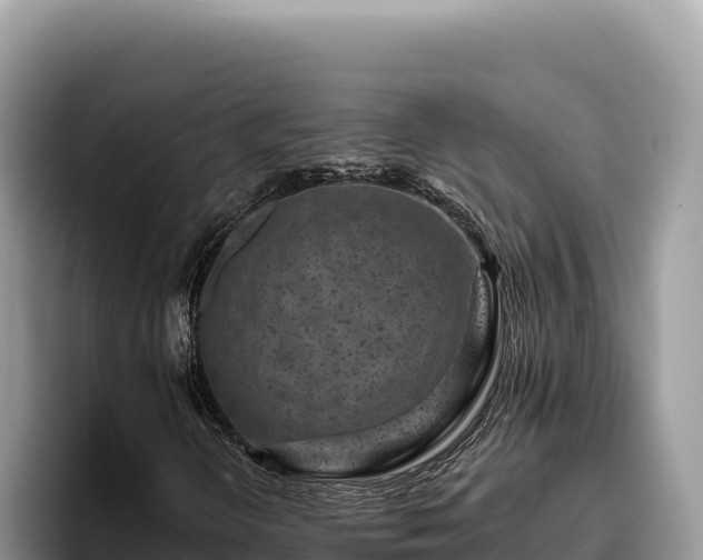 X0000095901298200801181238