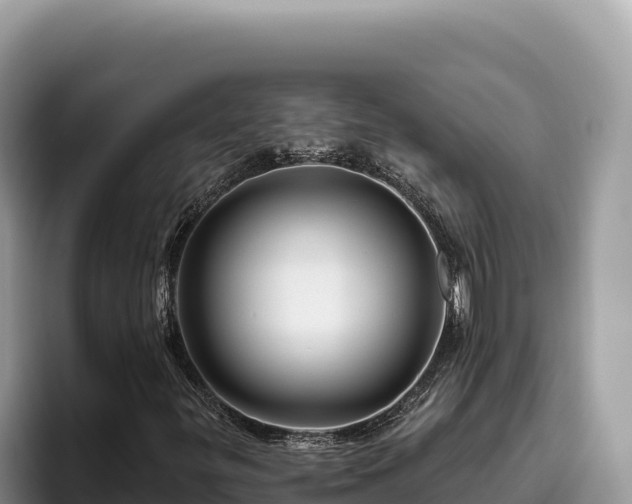 X0000095901299200801181238