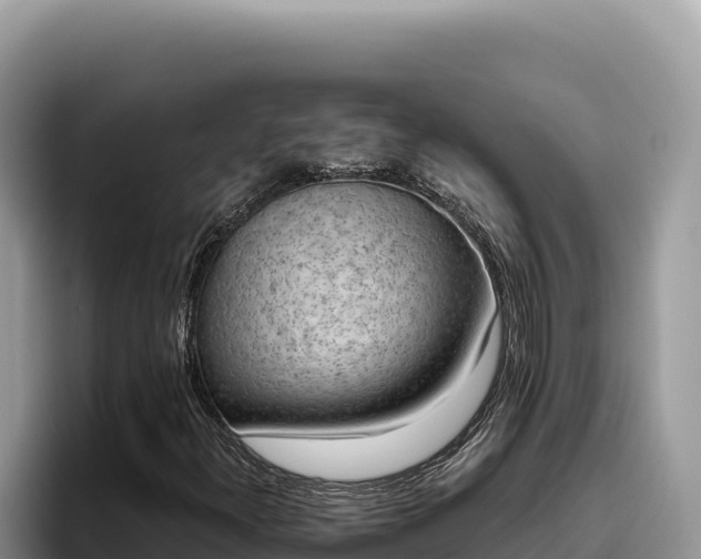 X0000095901300200801181238