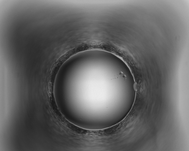 X0000095901301200801181238