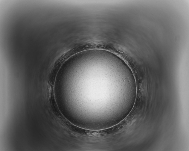 X0000095901302200801181238