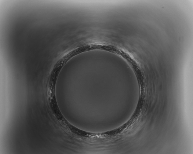 X0000095901303200801181238