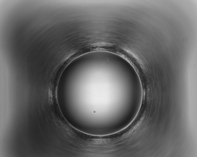 X0000095901305200801181238