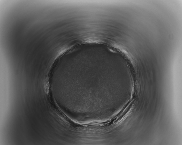 X0000095901306200801181238