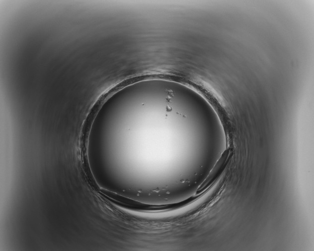 X0000095901308200801181238