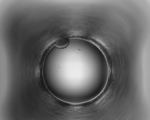 X0000095901309200801181238