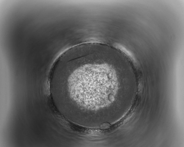 X0000095901310200801181238