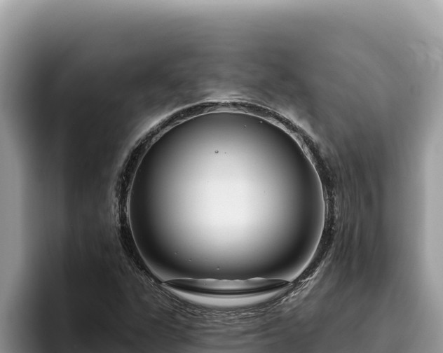 X0000095901311200801181238