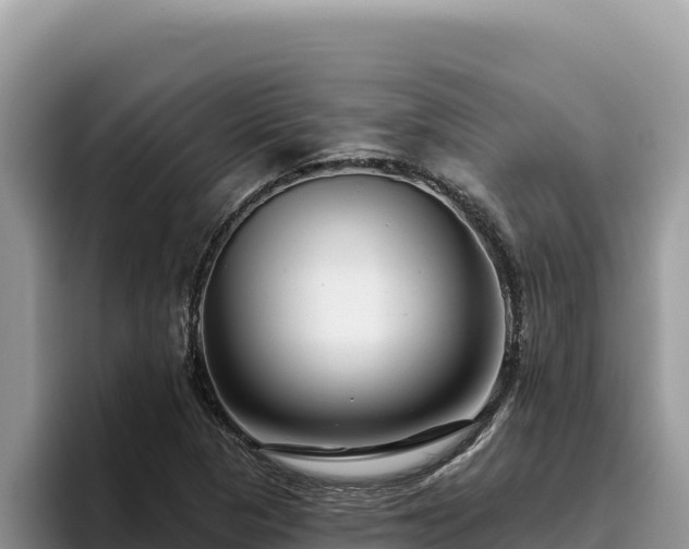 X0000095901313200801181238