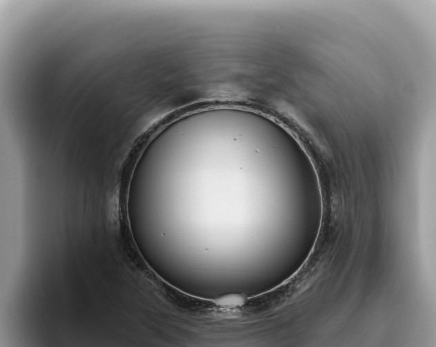 X0000095901315200801181238