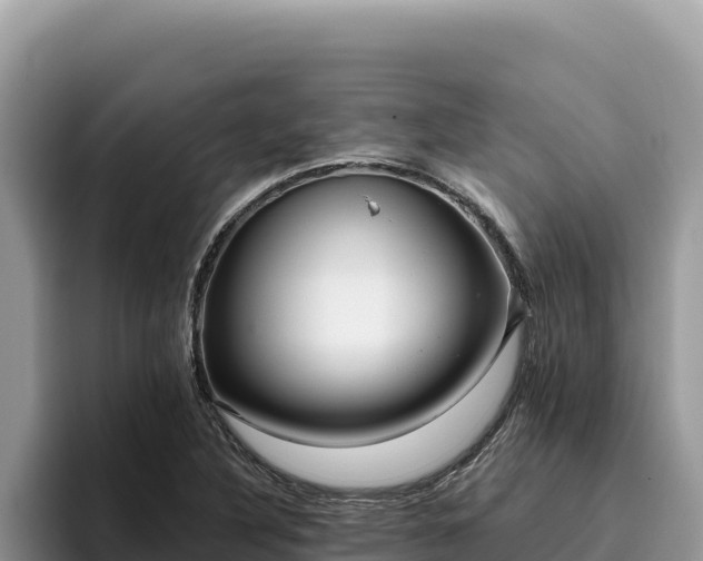 X0000095901316200801181238