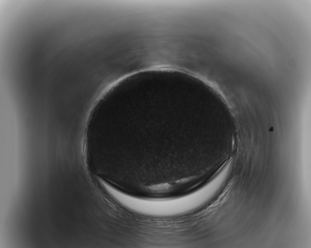 X0000095901319200801181238