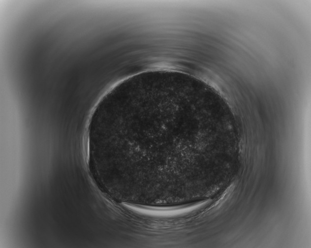 X0000095901323200801181238