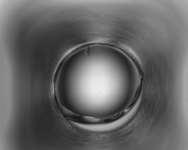 X0000095901324200801181238