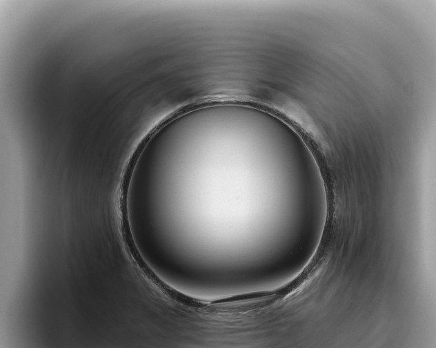 X0000095901325200801181238