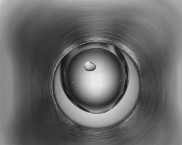 X0000095901330200801181238