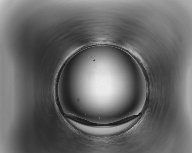 X0000095901333200801181238