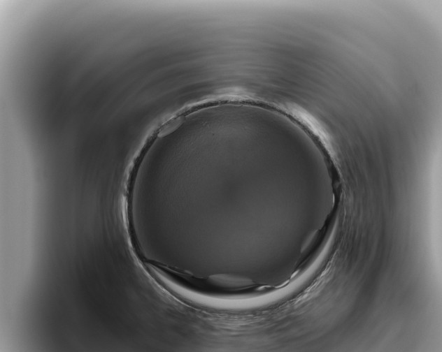 X0000095901334200801181238