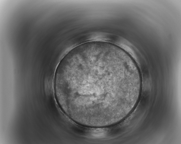 X0000095901338200801181238