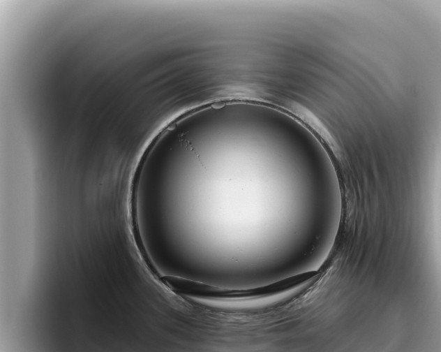 X0000095901339200801181238