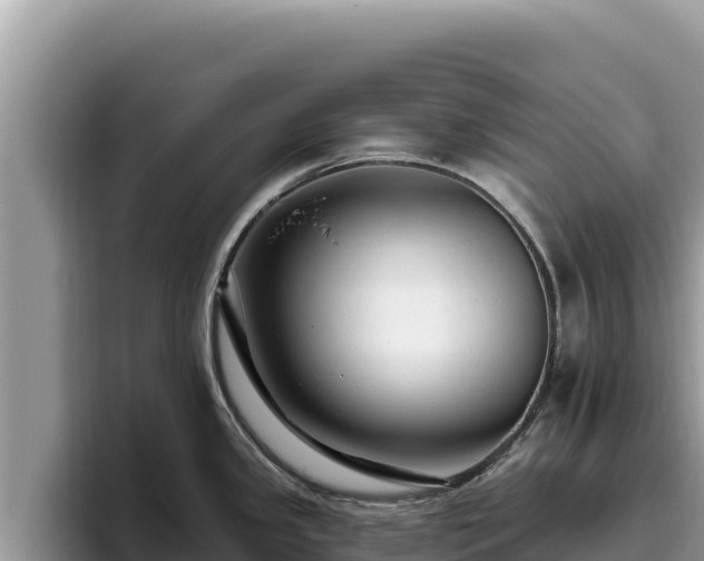 X0000095901341200801181238